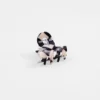 Acetate clip