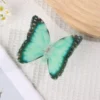 butterfly acetate Hair Claw