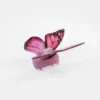 butterfly acetate Hair Claw