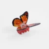 butterfly acetate Hair Claw