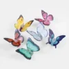 butterfly acetate Hair Claw