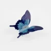 butterfly acetate Hair Claw
