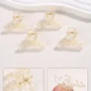 Acrylic clip