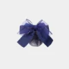 Women's professional headpiece