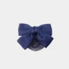 Women's professional headpiece