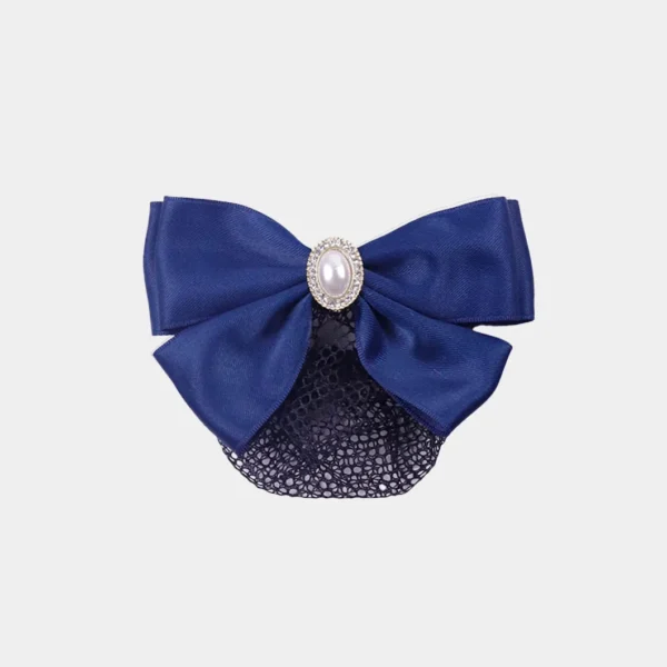 Women's professional headpiece
