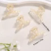 Acrylic clip