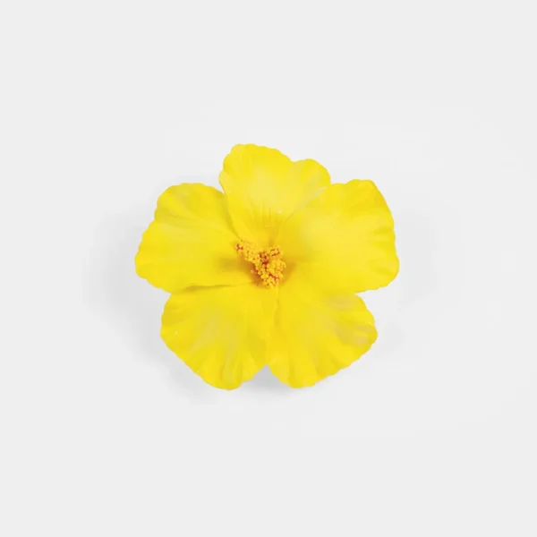 Hibiscus flower duck hair clip