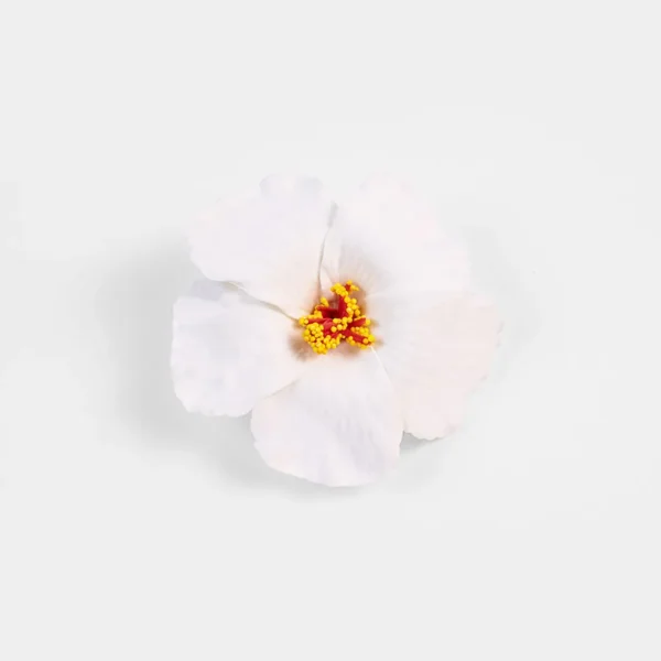 Hibiscus flower duck hair clip