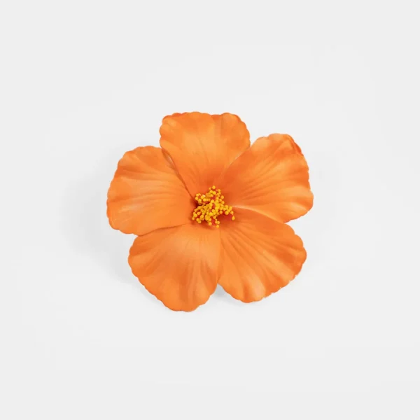 Hibiscus flower duck hair clip