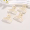 Acrylic clip