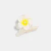 Plumeria clip